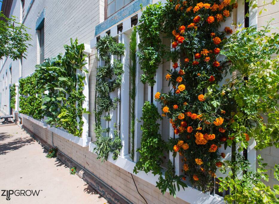 Farm Wall Oudoor Wall installation, Profile side picture, Flowers and Vegetables, Vertical Hydroponic system