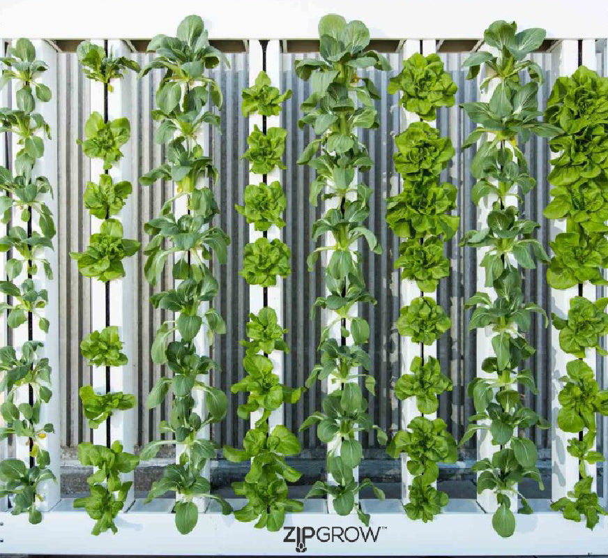 ZipGrow Farm Wall