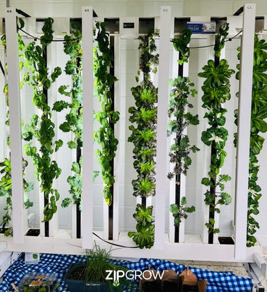 Education, School, Learning, Vertical Hydroponic Garden